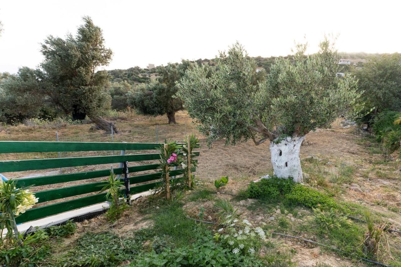 Galini House Villa Triopetra Dış mekan fotoğraf