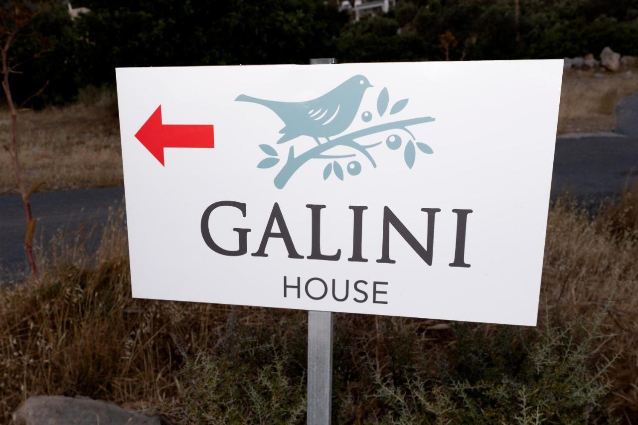 Galini House Villa Triopetra Dış mekan fotoğraf